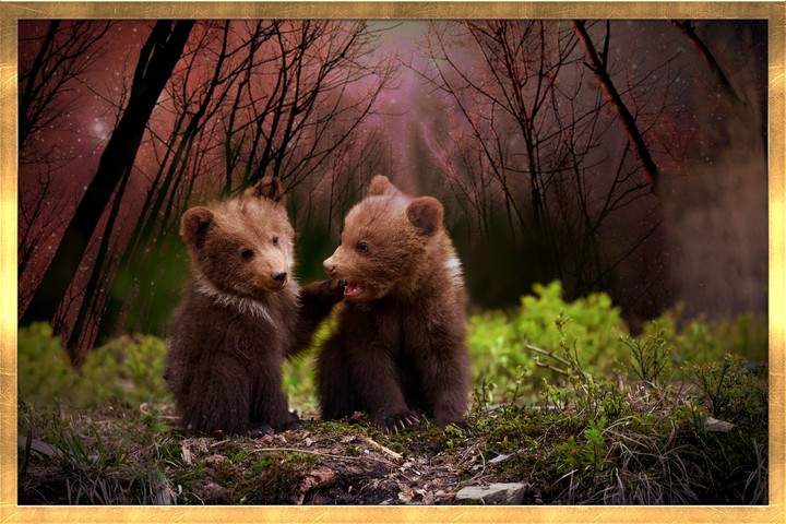 Two Bears