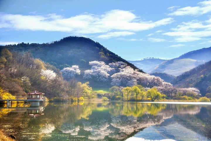 Laguna