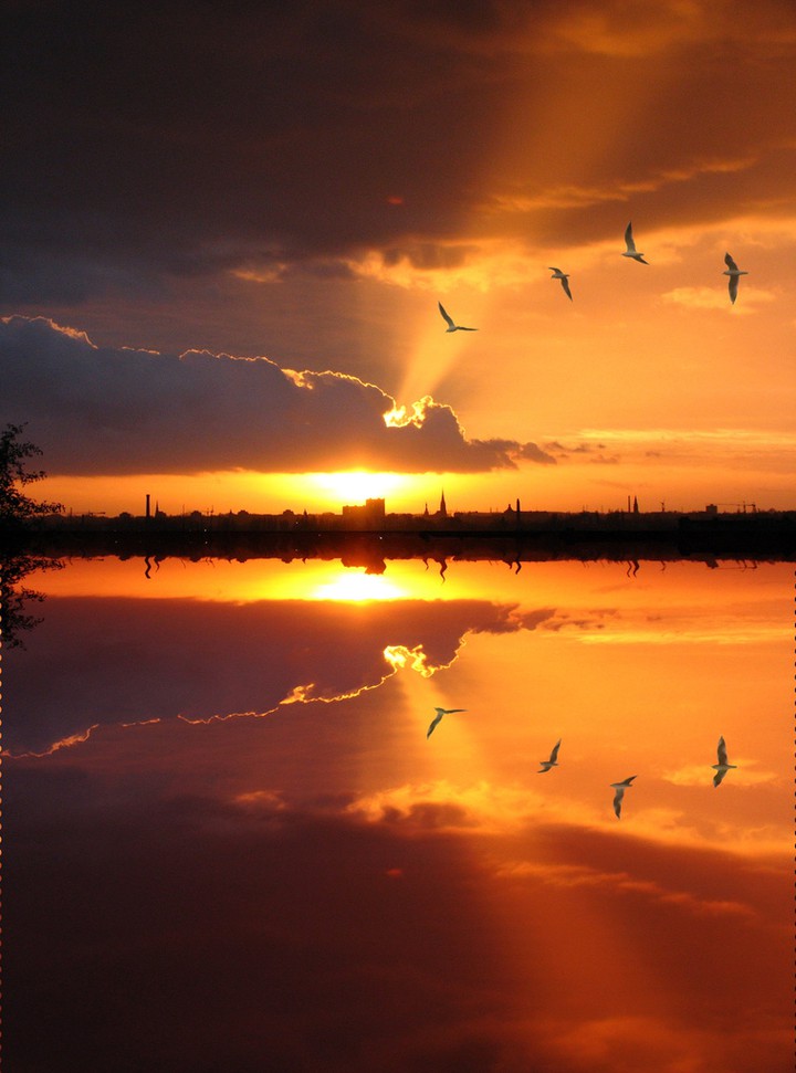 Us on bird migration across
