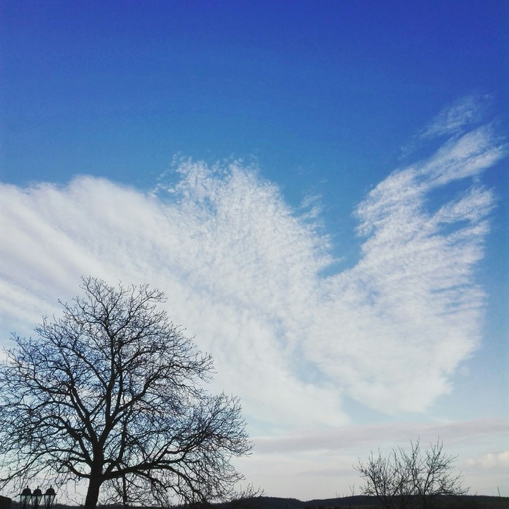 blue sky