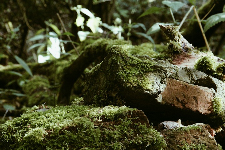 ruin