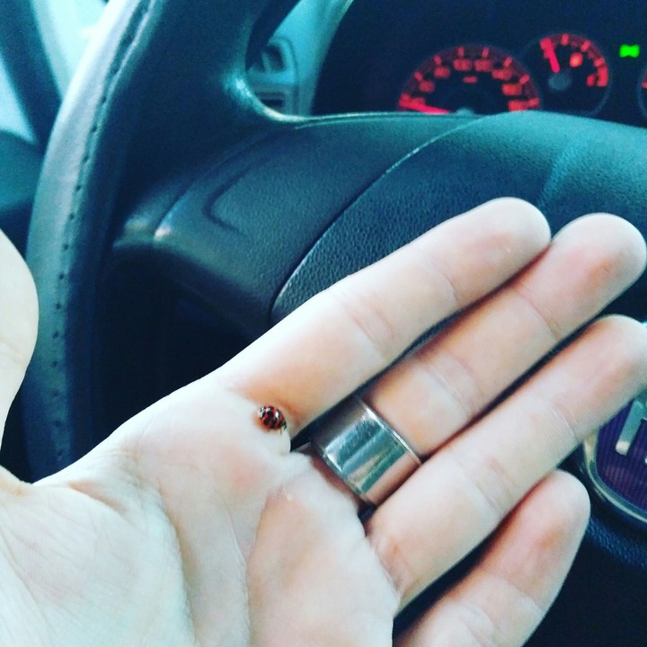 Lucky
