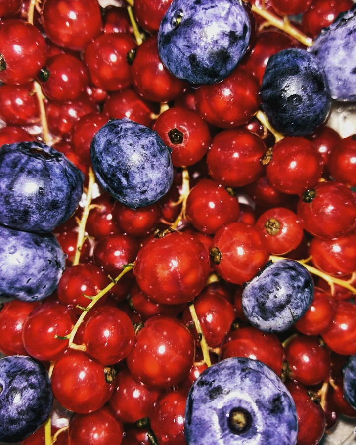 ribes&mirtilli