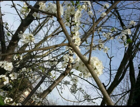 Nature