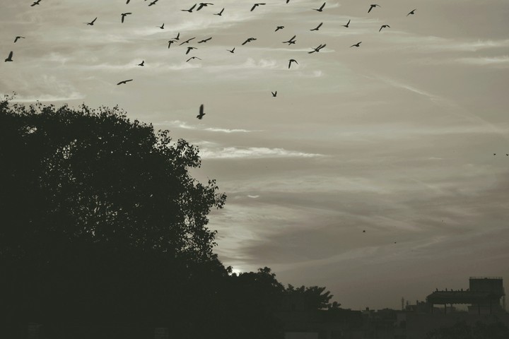 Beautiful Landscape
