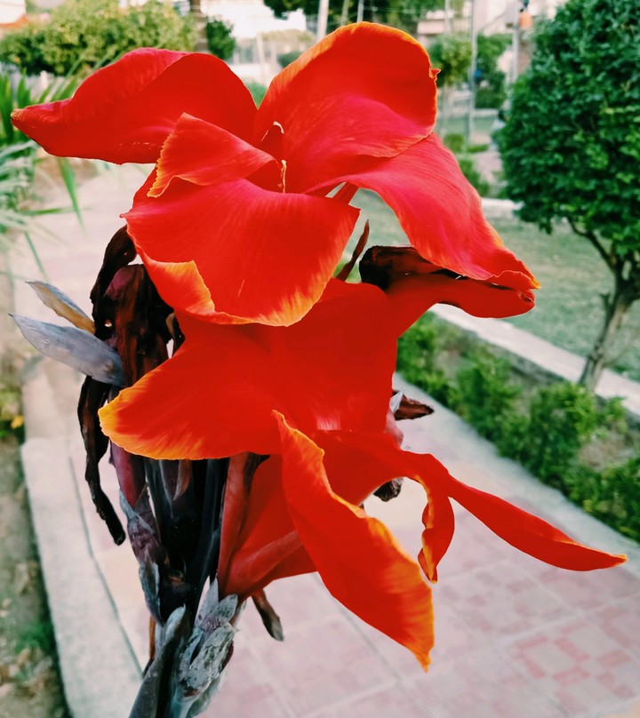 nature culb