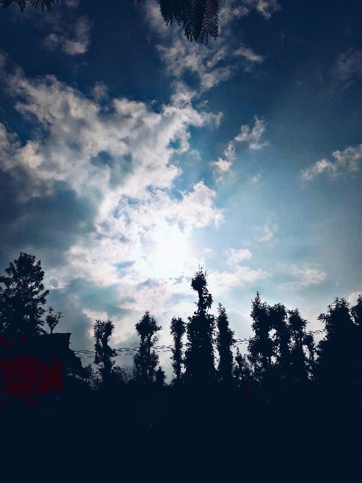 Sky