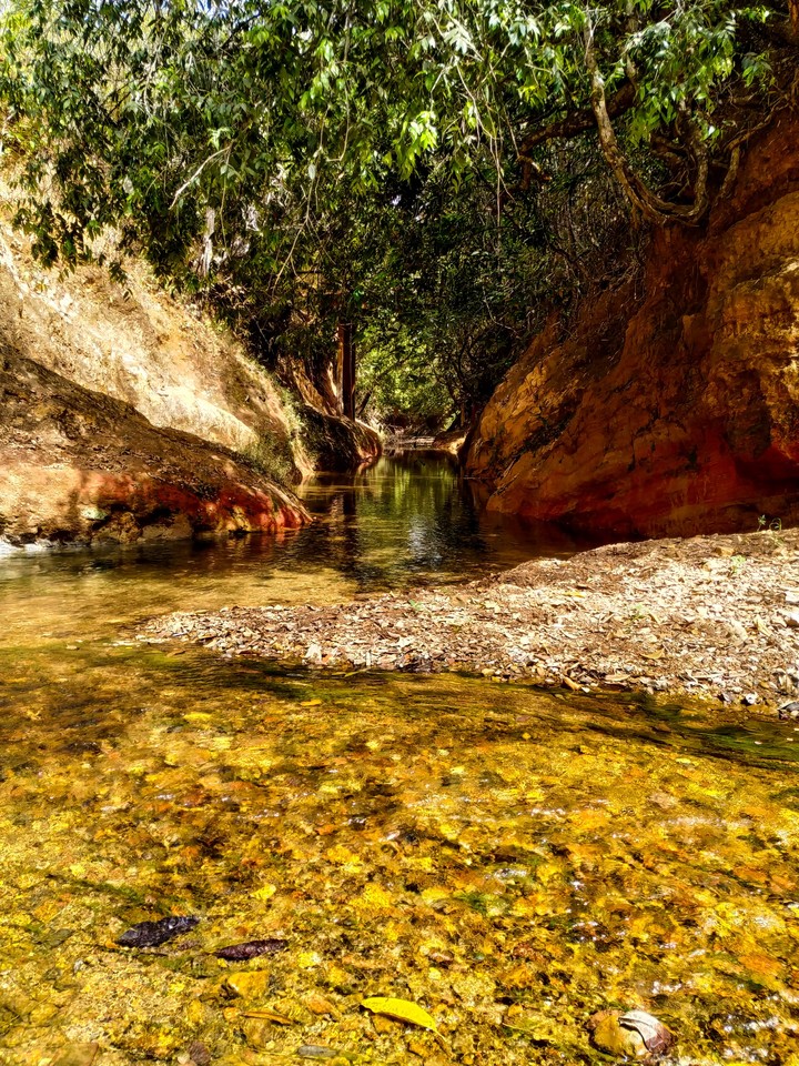 Stream