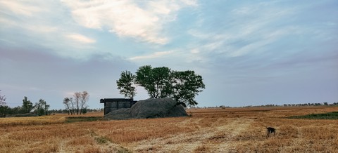 Village
