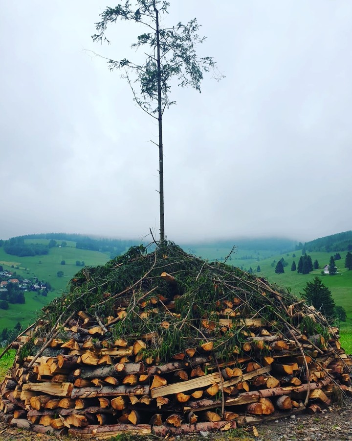 black forrest Todtnauberg