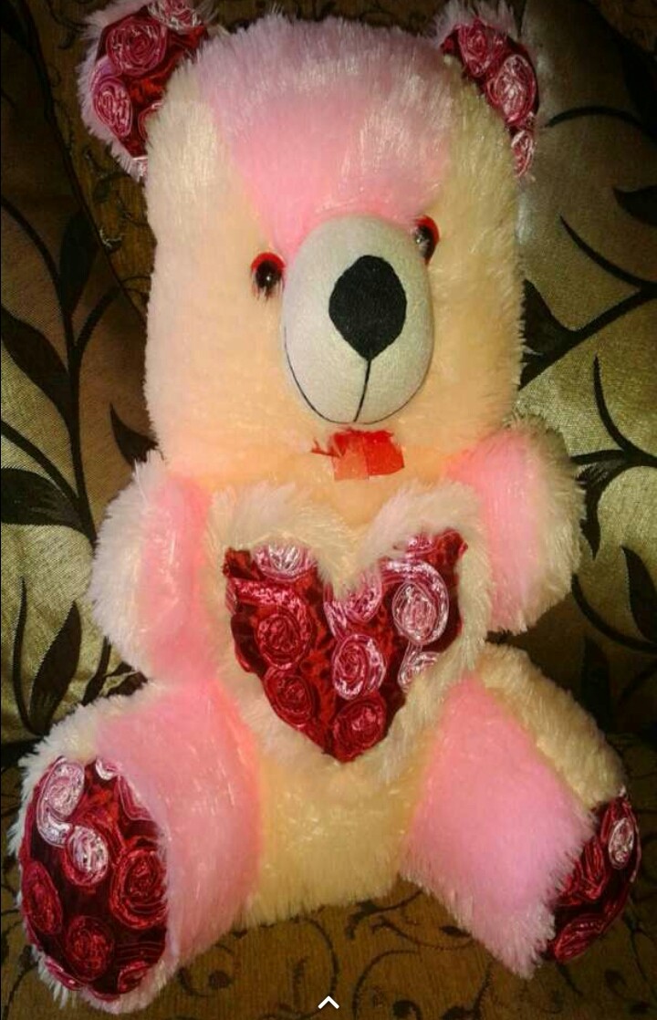 taddy 3
