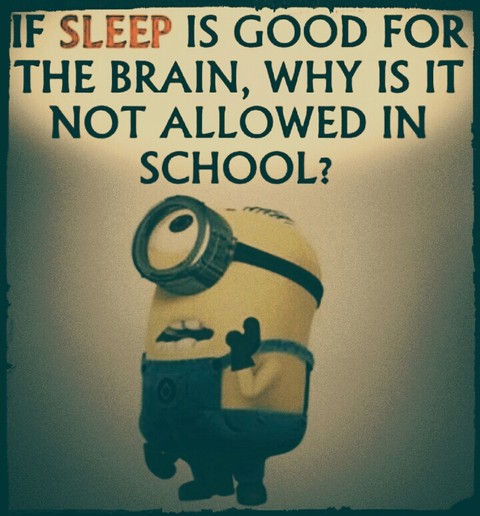 Minion Citation