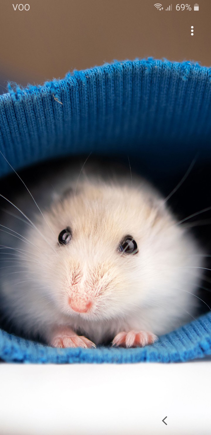 #cute