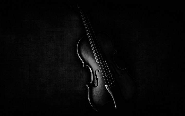 violin