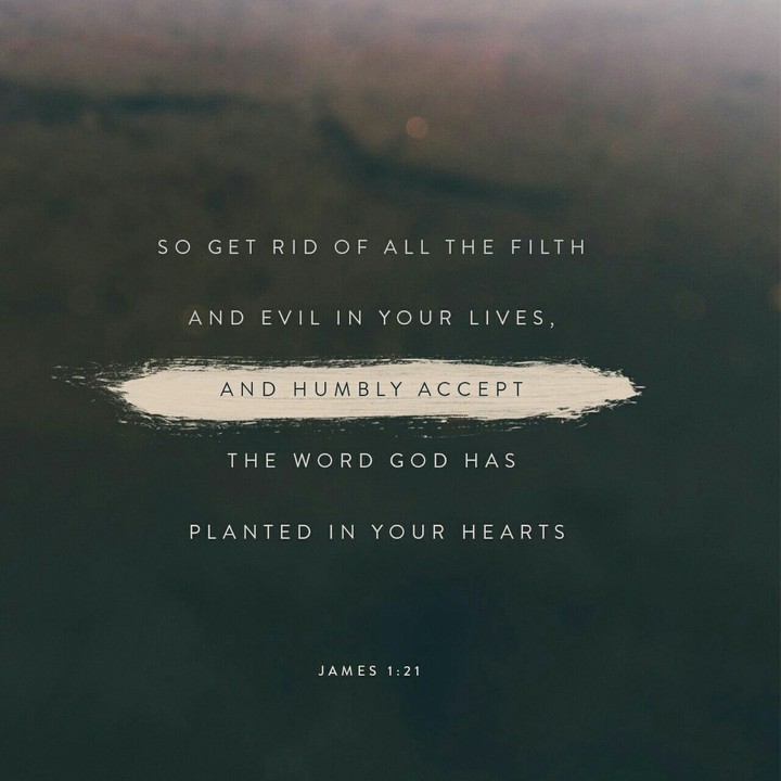 James 1:21