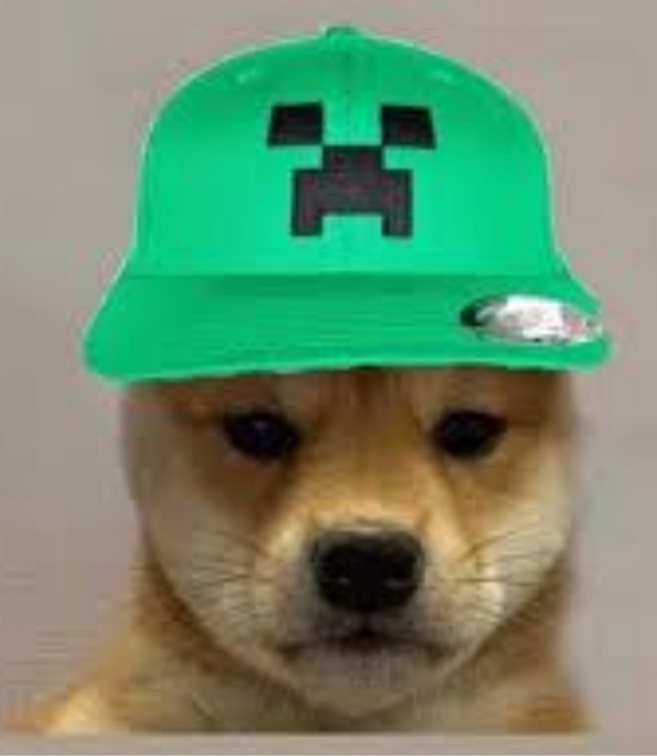 Dog with creeper hat