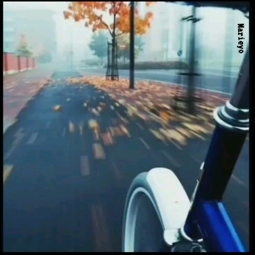 "Ride in bicycle"