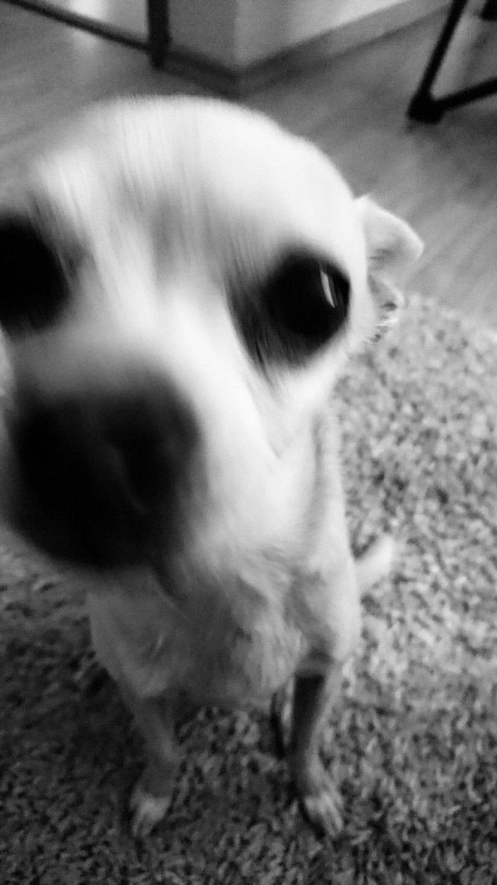 Kika