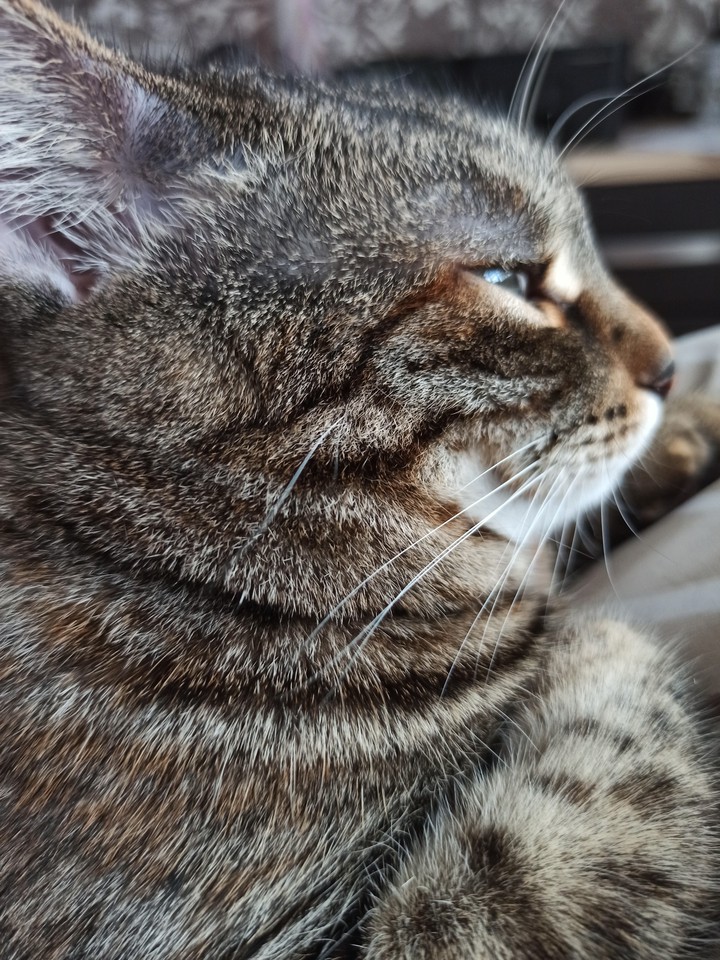 Eva