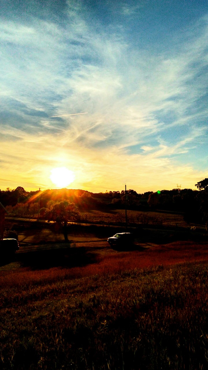 Sunset over a field.
