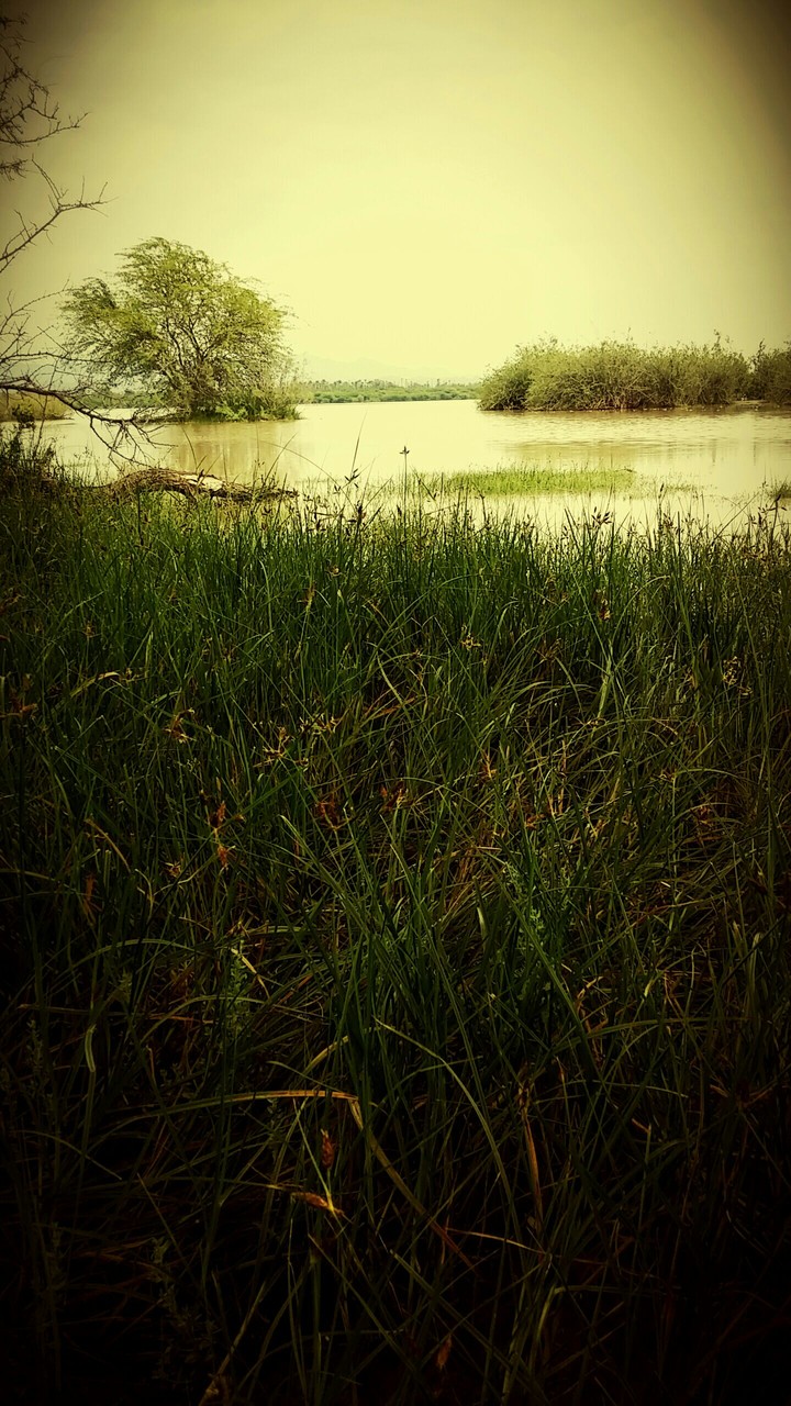 seasonal lake