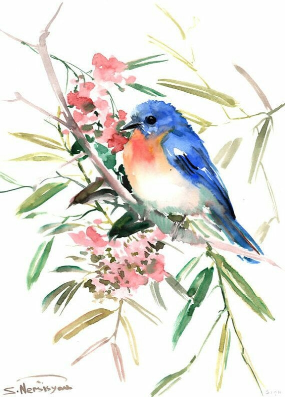 kiu kiu #flower side #bluebird