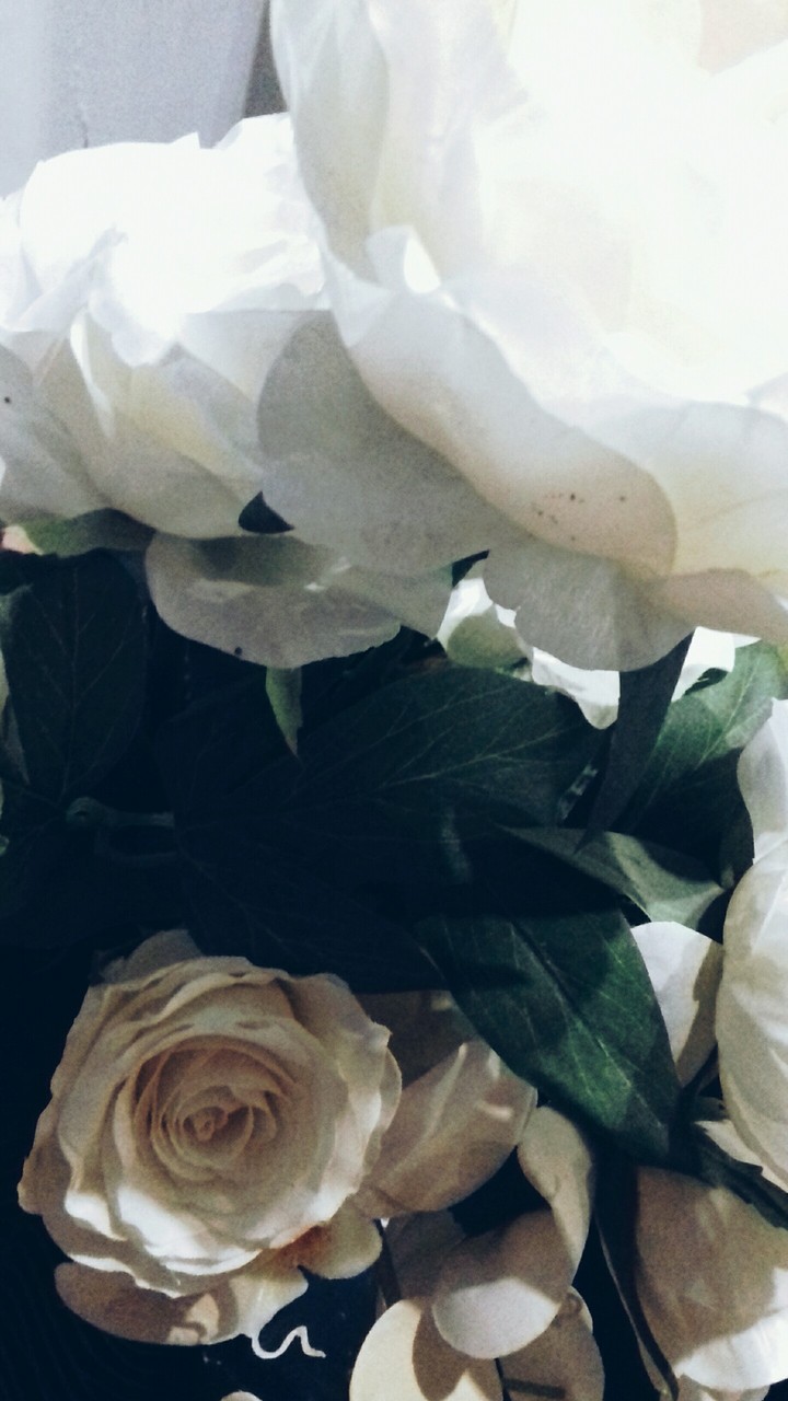 White roses!