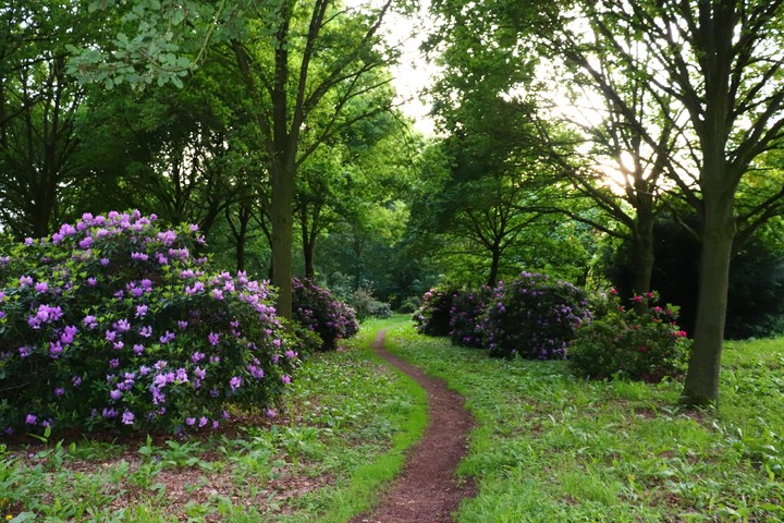 Nature