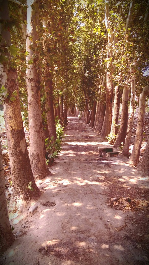 A way
