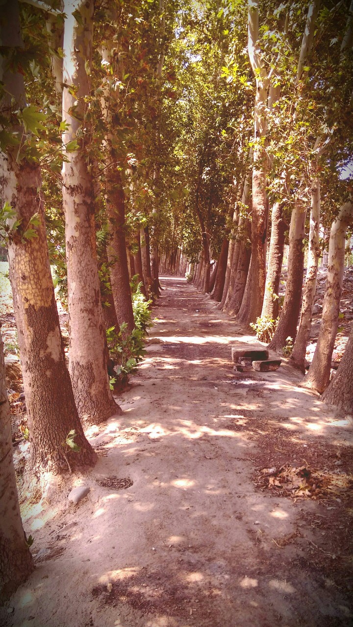 A way