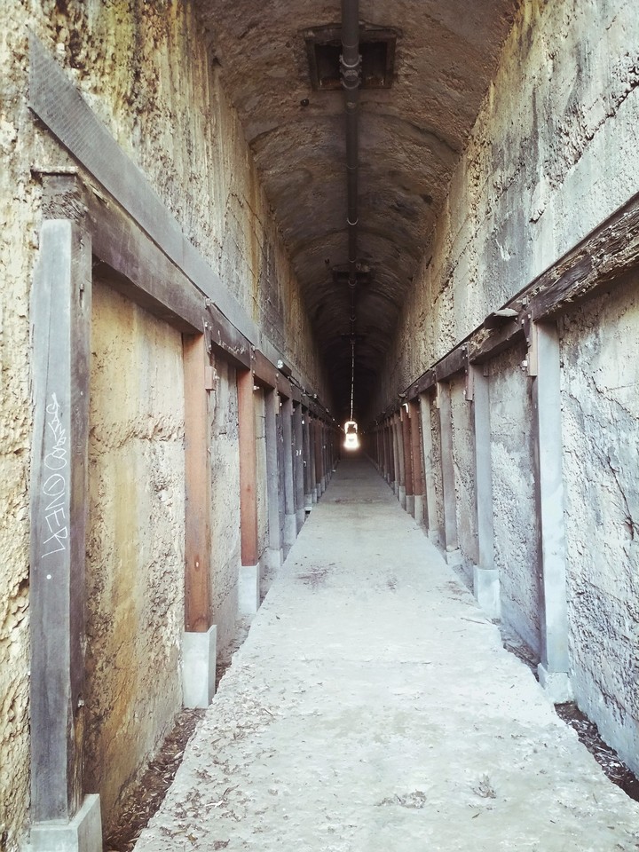 The Coal Loader, Waverton, Sydney