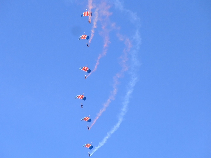 RAF falcons