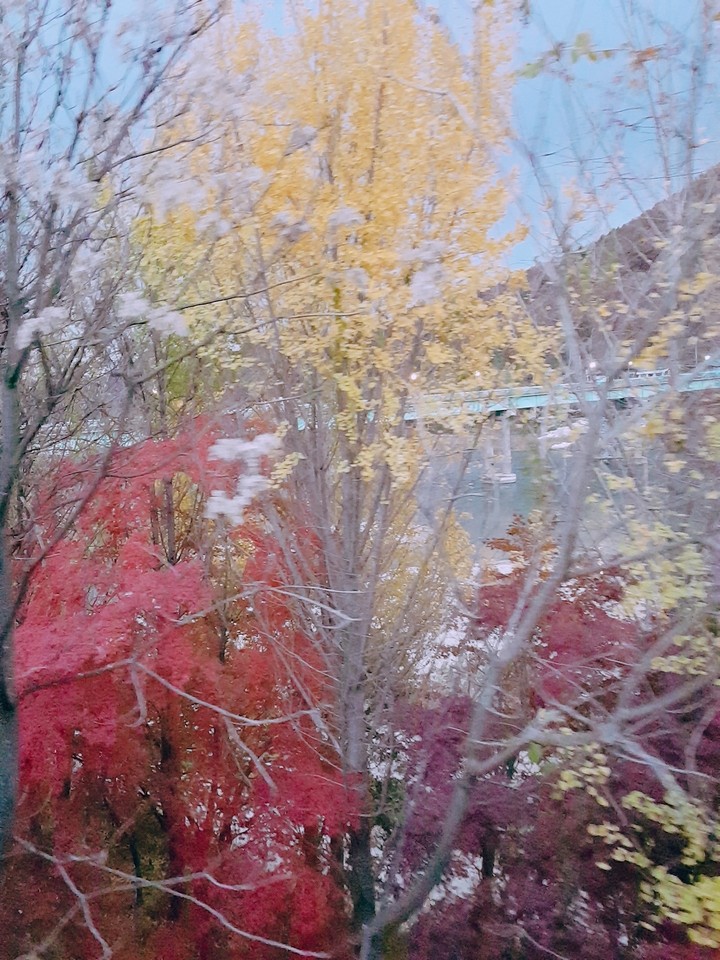대한민국