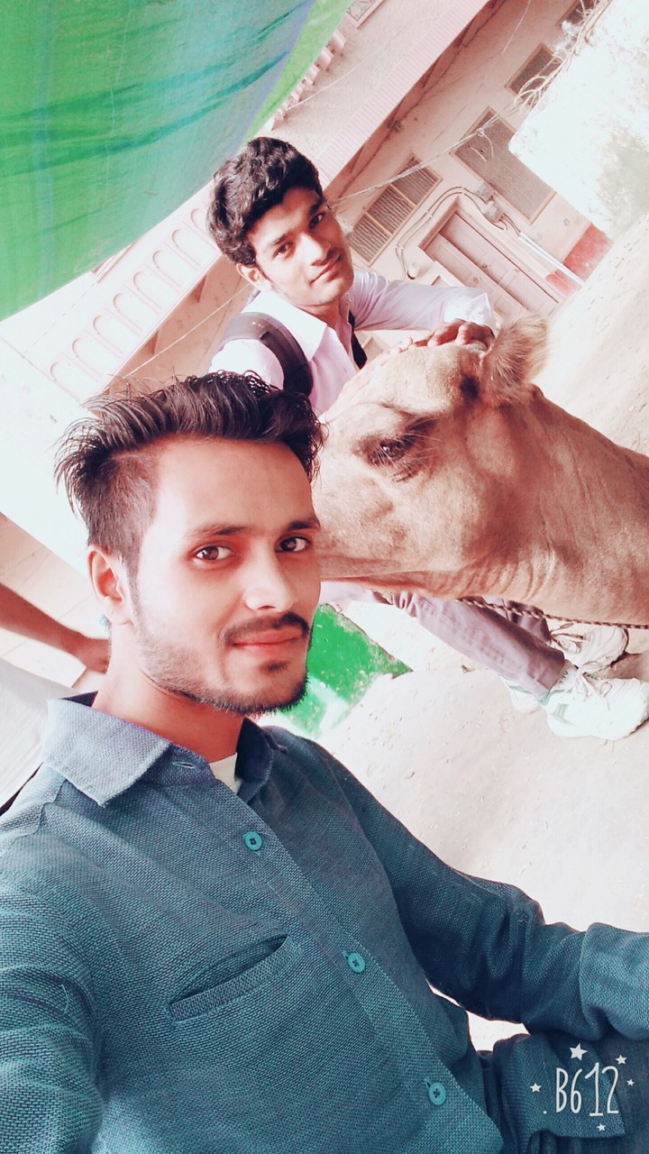 camel 