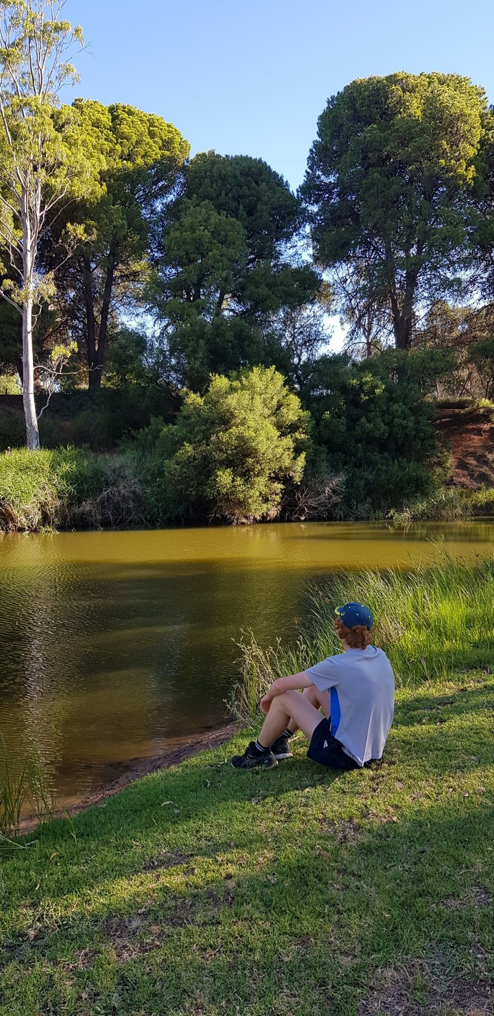 DUCK POND