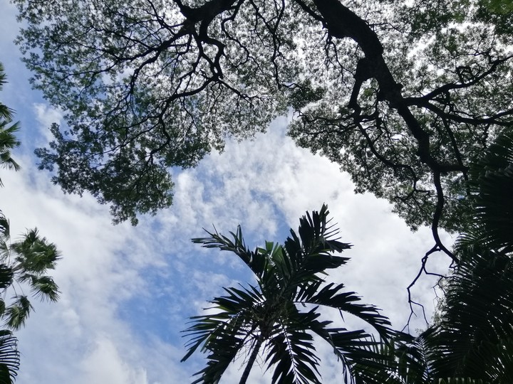Sky line