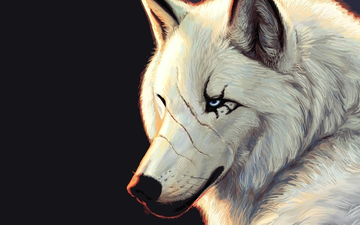 #ILoveWolf
