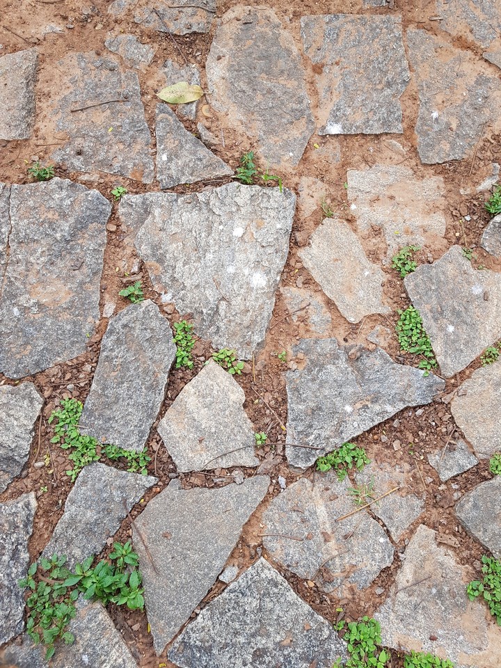 Surface