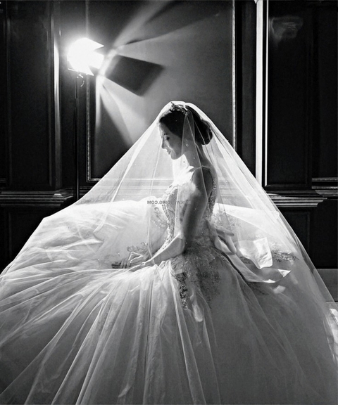 fonds d'écran bride, veil