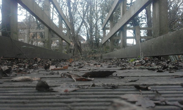 the bridge