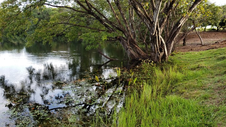 rio agua preta, faz Santa Julia, COCALINHO MT
