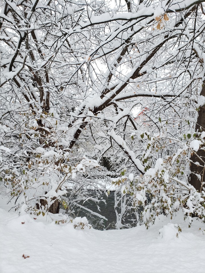 snowy creek