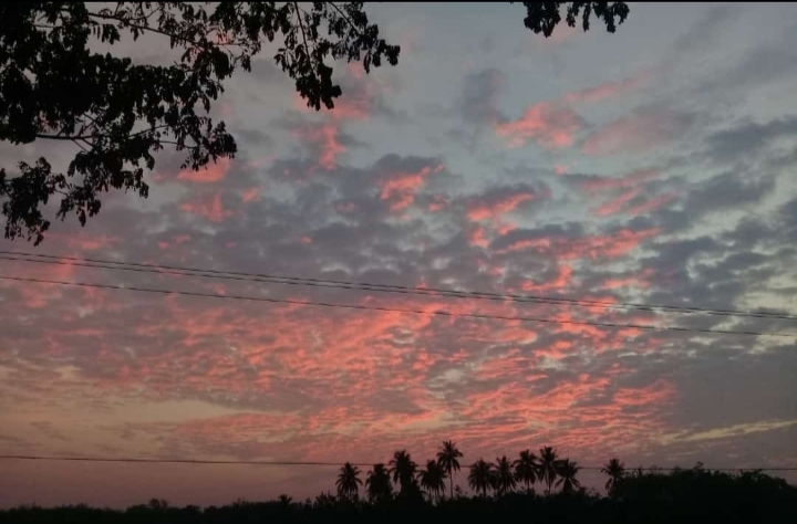 Beautiful