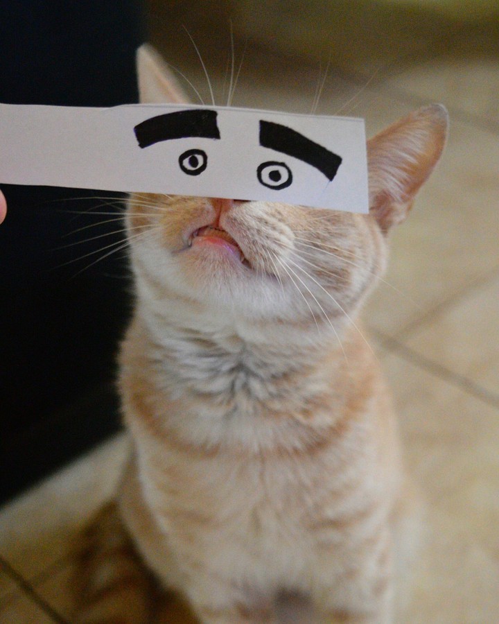 Michu 