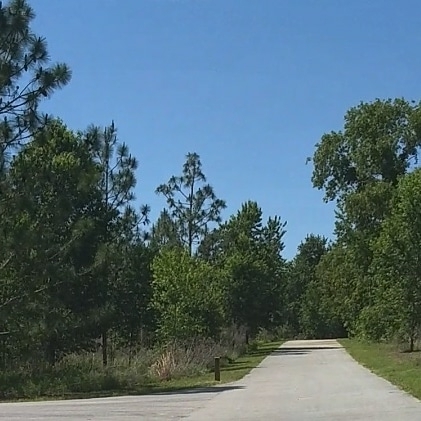 Park Trail