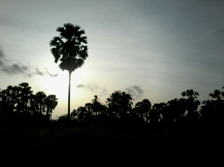 pagi cerah