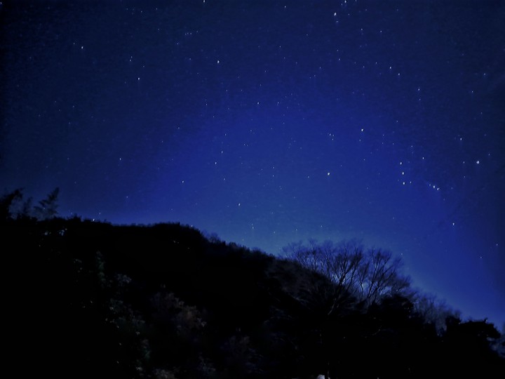 tree and star