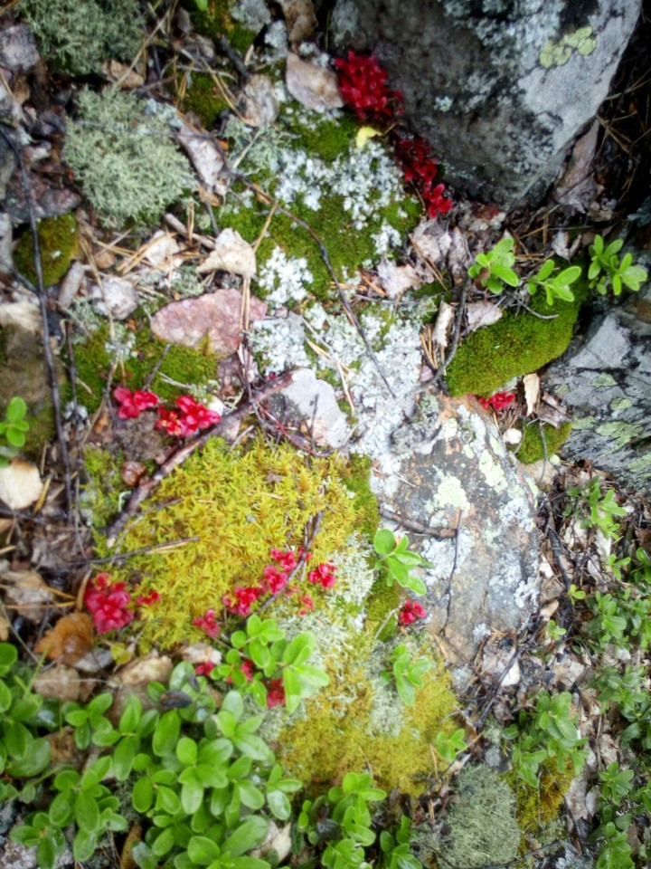 Colors of the Urals Mountaines.