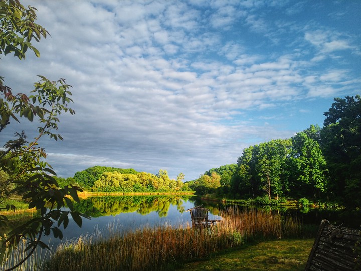 nature