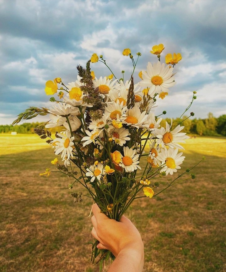 ❀❀❀